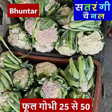भुंतर और टकोली सब्ज़ी मंडी में आज दिनांक 6 जुलाई को सब्ज़ियों और फ़लों के थोक भाव इस प्रकार रहे | देखें वीडियो....
#bhuntarsubzimandi #takolisubzimandii #satrangichannel #solansubzimandi #azadpursubzimandi