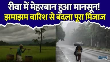 रीवा में मेहरबान हुआ मानसून! झमाझम बारिश से बदला पूरा मिजाज
#Rewa #RewaRain #Monsoon2026 #RainUpdate #MadhyaPradesh #WeatherUpdate #Monsoon #HeavyRain #BreakingNews #RainAlert #Farmers #KharifSeason #Agriculture #IndiaWeather #RewaNews #MPNews #ViralNews #Trending #NewsUpdate #DailyNews