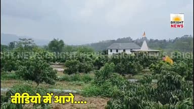 -#घुमारवीं -- लंझता गांव में लीची की खेती से बदली किसानों की किस्मत, 10 हजार पौधों से लहराई खेती, उत्पादन बढ़ने पर आय में होगी बढ़ोतरी...
#BrightNews #HPSivaYojana #LitchiFarming #LitchiCultivation #Lanjhata #Ghumarwin #Bilaspur #HimachalHorticulture #FarmerIncome #EconomicGrowth #HighDensityPlanting #ModernFarming #HPUdyanVibhag #RuralDevelopment #HPGovernmentScheme #KrishiVikas #FarmersOfHimachal #LitchiFarmers #HimachalAgriculture #SustainableFarming #WaterStorageTank #TechnicalSupport #DCRahulKumar #HimachalFarmers #HPNews #HimachalPradesh #GhumarwinNews #HimachalNews #Himachal24x7 #HimachalUpdate #HimachalLatestNews #HimachalSpotlight #PahadNews #HimachalBuzz #HimachalWala #HimachalNewsLive #HimachalHappenings #HimachalViral #HimachalTrending #HimachalUpdatesDaily #HimachalKhabar #IndiaNews #HimachalUpdateDaily #HimachalToday