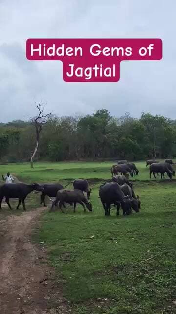 Hidden Gems of Jagtial #sarangapur