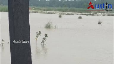 #ଯାଜପୁର_ଜିଲ୍ଲାର_ଦଶରଥପୁରରେ_ବନ୍ୟାଜଳରେ_ଘାଇ
ଯାଜପୁର ଜିଲ୍ଲାର ବିଞ୍ଝାରପୁର ନିର୍ବାଚନ ମଣ୍ଡଳୀର ଦଶରଥପୁର ବ୍ଲକରେ ବନ୍ୟା ଜଳରେ ଏକ ପଚାଶଫୁଟ ଘାଇ ହୋଇଥିବା ଦେଖିବାକୁ ମିଳିଛି। ଦେଖନ୍ତୁ ସେ ସମୟରେ ଭିଡିଓ।
#BreakingNews
#JajpurCollector
#RevenueDepartment
#FloodWater
#BinjharapuraConstuency
#MLAPramilaMalika
#DasarathapurBlock
#AustinNewsOdisha
#OdiaNews