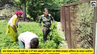 कलम जीत की
रामपुर उपमंडल के अंतर्गत ग्राम पंचायत क्याव 15/20 के वार्ड नंबर 1 में 'भांग उखाड़ो अभियान' एवं विशेष स्वच्छता अभियान का सफल आयोजन
#kalamjeetki #rampurbushahr #himachalpardesh #viral #BreakingNews #sawachtaabiyan