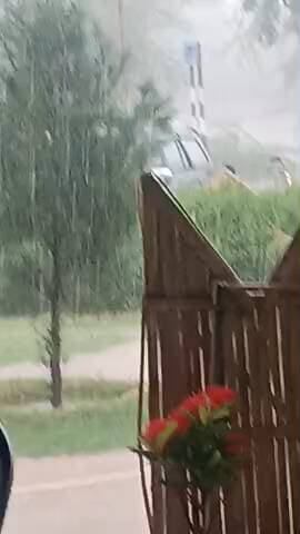 बौली मे हुइ बहुत भयंकर बारिश