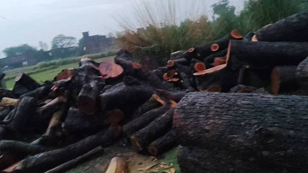 यहां पर अब एक काम दो नंबर का काम हो रहा है सरकार कोई भी कम नहीं उठा रही है