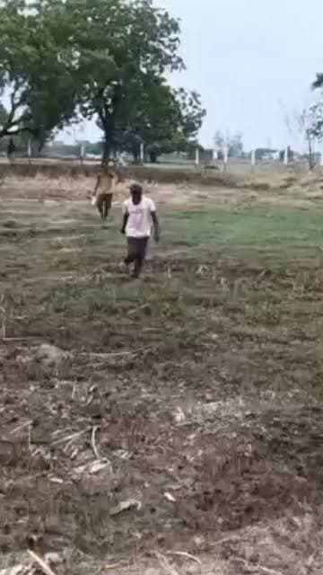 बनपुरवा प्रकरण: गौशाला भूमि की पैमाइश जारी, अंतिम रिपोर्ट का इंतजार
प्रयागराज के हंडिया क्षेत्र के बनपुरवा गांव में दो भाइयों की मौत के बाद गौशाला भूमि विवाद की जांच तेज हो गई है। राजस्व विभाग ग्राम सभा की लगभग 32 बीघा भूमि की पैमाइश कर रहा है। जलभराव के कारण पैमाइश प्रभावित हुई है और कार्य अभी जारी है।
सूत्रों के अनुसार, भूमि से जुड़े करीब 18 राजस्व वाद लंबित हैं। प्रशासन का कहना है कि अंतिम पैमाइश रिपोर्ट के बाद ही भूमि की वास्तविक स्थिति और किसी भी संभावित अतिक्रमण को लेकर स्पष्ट तस्वीर सामने आएगी।
#Prayagraj #Handia #Banpurwa #BreakingNews #RevenueDepartment #Gaushala #upnewstoday