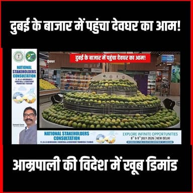 Dubai के बाजार में पहुंचा Deoghar का आम! अमरापाली की विदेश में खूब डिमांड
#thenewspost #deoghar #dubai #Amrapaliaam #deogharnewslive