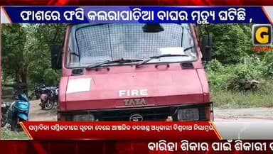 ବାରିହା ଶିକାର ପାଇଁ ଶିକାରୀ ପକାଇଥିବା ଫାଶରେ ଫସି କଲରାପାତିଆ ବାଘର ମୃତ୍ୟୁ ଘଟିଛି ,ସମ୍ବାଦିକା ସମ୍ମିଳନୀରେ ସୂଚନା ଦେଲେ ଆଞ୍ଚଳିକ ବନଖଣ୍ଡ ଅଧିକାରୀ ବିଶ୍ୱନାଥ ନିଲାମ୍ବର।
#gtvnewsodisha #ganjam #Odisha #silkcity #berhampur