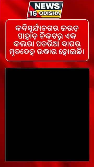 କବିସୂର୍ଯ୍ୟନଗର ଜରଡ଼ ପାହାଡ଼ ନିକଟରୁ ଏକ କଲରା ପତରିଆ ବାଘର ମୃତଦେହ ଉଦ୍ଧାର ହୋଇଛି।