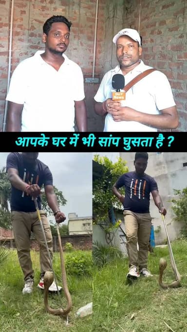 आपके भी घरों में घुसता है सांप तो घबराने की जरूरत नहीं ! #snake_rescuer #Supaul_News #Vishal_Kumar #viral_video