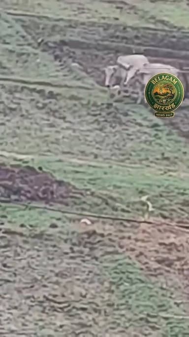 चतरा में जमीन विवाद में भाई ने भाई की पीट-पीटकर की हत्या हंटरगंज थाना क्षेत्र के डटमी गांव की घटना #fbreels #facebookviral #nonfollowers #facebookpost #FacebookPage