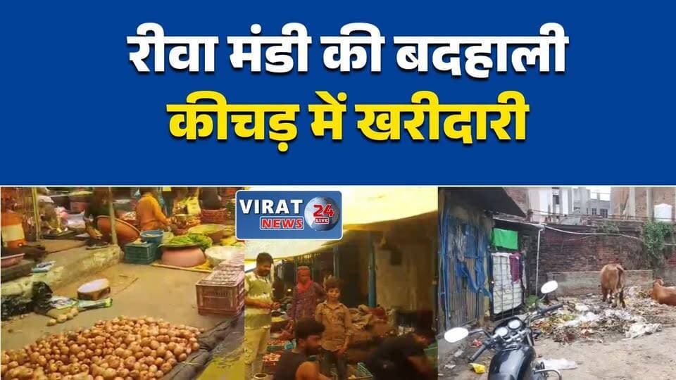 रीवा की सब्जी मंडी बदहाल, कीचड़ और गंदगी के बीच खरीदारी को मजबूर लोग
सब्जी मंडी में अव्यवस्थाओं का अंबार, सफाई के दावों पर उठे सवाल
बारिश में तालाब बनी रीवा मंडी, दुकानदार और ग्राहक परेशान
मंडी शुल्क वसूली, सुविधाएं नदारद! दुकानदारों ने उठाए सवाल
रीवा की मुख्य सब्जी मंडी में गंदगी का राज, प्रशासन बेखबर?#Rewa #रीवा #VegetableMarket #सब्जीमंडी #MadhyaPradesh #मध्यप्रदेश #Cleanliness #SwachhBharat #CivicIssues #NagarNigam #LocalNews #BreakingNews #HindiNews #PublicIssue #MarketProblems