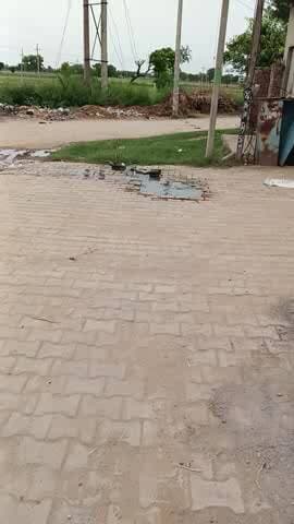 ##ye dekho bhuna ward no.2 ka hal