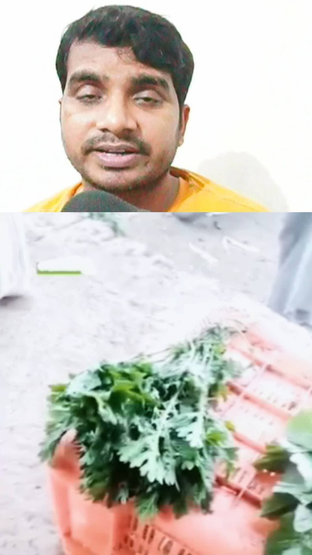 सूखी सब्जी को हर किया Abhishek Kumar eMedia #abhishekkumaremedia #viralvideo #instareels