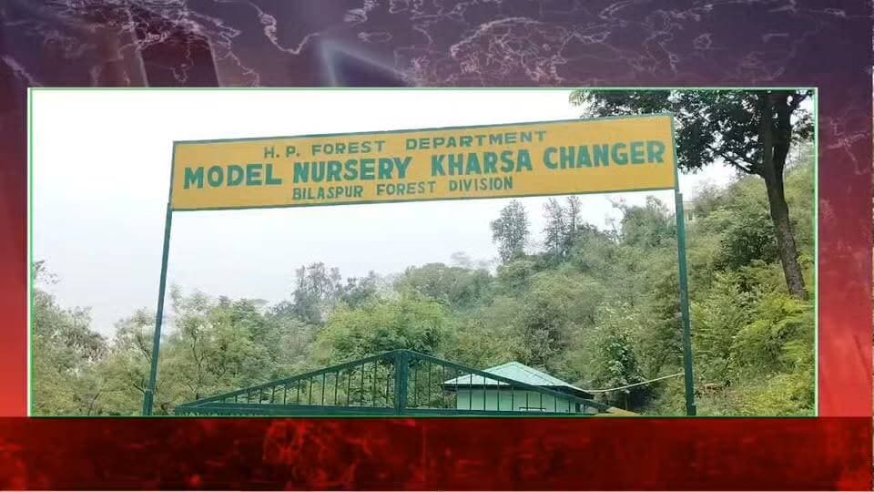 जिला बिलासपुर में वन विभाग पर्यावरण संरक्षण और हरित क्षेत्र बढ़ाने के उद्देश्य से पौधरोपण की एक नई पहल शुरू करने जा रहा है। इसके तहत पारंपरिक पौधरोपण के बजाय ‘सीड बॉल’ (Seed Ball) तकनीक का प्रयोग किया जाएगा.....
#rampurbushahr #rampurbushahr #congress #Congress #congress #congress #congress #congressnews #congress #congress #congress #bjp #BJPGovt #BJPGovernment #bjpmembership #BJPGovt #nsui_india #NSUI #menssalon #kullu #हिमाचली #bilaspur #bilaspurdiaries #bjpvscongress #MandiBahauddin #पिस्तौल #shimlamanali #palampur_shootout_offcial #proclaimers