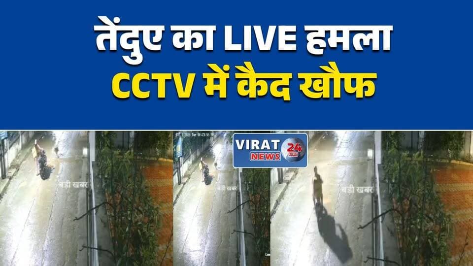 इंदौर में आधी रात डिलीवरी बॉय पर तेंदुए का हमला, CCTV में कैद हुई घटना
रिहायशी इलाके में घुसा तेंदुआ, बाइक सवार डिलीवरी बॉय पर किया हमला
इंदौर में तेंदुए की दहशत, डिलीवरी बॉय पर हमले का VIDEO वायरल
6 फीट छलांग लगाकर तेंदुए ने किया हमला, युवक ने दौड़कर बचाई जान
आबादी के बीच तेंदुए की एंट्री, वन विभाग ने शुरू किया सर्च ऑपरेशन#Indore #इंदौर #Leopard #LeopardAttack #CCTV #Wildlife #ForestDepartment #MadhyaPradesh #मध्यप्रदेश #BreakingNews #HindiNews #ViralVideo #WildlifeNews #MPNews #LatestNews