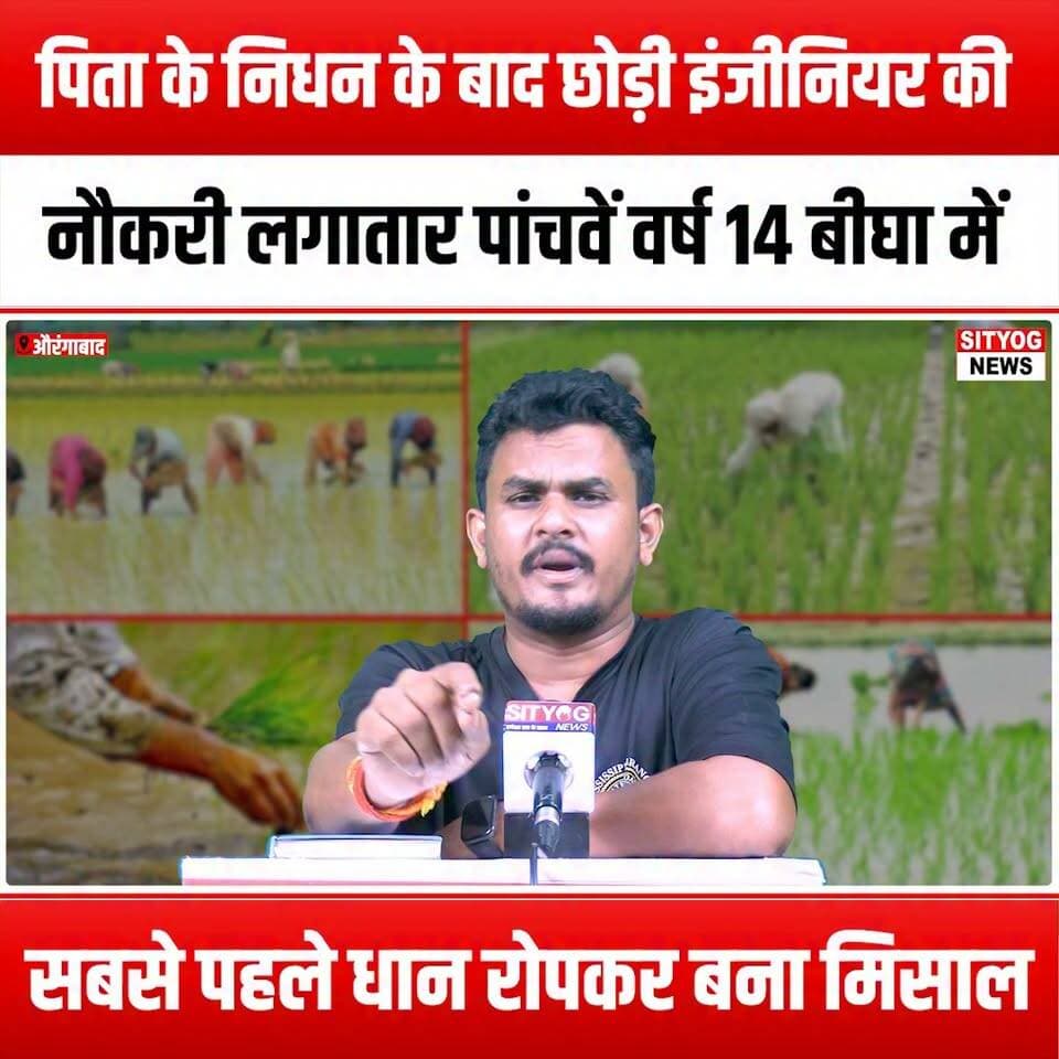 पिता के निधन के बाद छोड़ी इंजीनियर की नौकरी,लगातार पांचवें वर्ष 14 बीघा में सबसे पहले धान रोपकर बना मिसाल
#FatherLoss #EngineerLife #RiceCultivation #Inspiration #AgricultureSuccess #FamilyLegacy #HardWorkPaysOff #FarmingJourney #LifeAfterLoss #Dedication #RuralLife #SustainableFarming #PaddyField #Resilience #LifeLessons #Motivation #SuccessStory #FarmingCommunity #GriefAndGrowth #Courage #NewBeginnings #FarmingInIndia #TraditionAndInnovation #PersonalGrowth #Empowerment #FarmingInspiration #LegacyOfLove #HarvestSeason #EngineerToFarmer #LifeTransformation