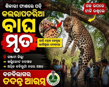ଶିକାରୀ ଫାଶରେ ପଡ଼ି କଲରାପତରିଆ ବାଘର ମୃତ୍ୟୁ
ଗଞ୍ଜାମ ଜିଲ୍ଲାର ଖଲ୍ଲିକୋଟ ବନାଞ୍ଚଳ ଅନ୍ତର୍ଗତ କବିସୂର୍ଯ୍ୟନଗର ଅଞ୍ଚଳରେ ଏକ କଲରାପତରିଆ ବାଘ ଶିକାରୀଙ୍କ ଫାଶରେ ପଡ଼ି ମୃତ୍ୟୁବରଣ କରିଛି। ବାଘଟିର ବେକରେ ଗାଡ଼ିର ବ୍ରେକ୍ କେବୁଲରେ ତିଆରି ହୋଇଥିବା ଫାଶ ଲାଗିଥିବା ଦେଖାଯାଇଛି।ଘଟଣାର ଖବର ପାଇ ବନବିଭାଗର ଅଧିକାରୀମାନେ ପହଞ୍ଚି ତଦନ୍ତ ଆରମ୍ଭ କରିଛନ୍ତି। ଫାଶ କିଏ ପକାଇଥିଲା ଏବଂ ଏହି ଘଟଣାରେ କେଉଁମାନେ ସମ୍ପୃକ୍ତ ଅଛନ୍ତି, ସେନେଇ ତଦନ୍ତ ଚାଲିଛି।
#OdishaNews #Ganjam #Khalikote #Leopard #Wildlife #ForestDepartment #WildlifeCrime #SaveWildlife #BreakingNews #OdiaNews #NewsUpdate #Tiger #GanjamTiger #Kalarapataria #FYP #Highlight #ViralNews #Odisha #Nature #WildlifeProtection #news7odia