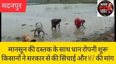 मानसून की दस्तक के साथ सोनडीह में धान रोपनी शुरू, किसानों ने सरकार से की सिंचाई और MSP की मांग
#BharatCrimeLiveNews #Aurangabad #Madanpur #Sondih #धान_रोपनी #Kisan #Monsoon #MSP #BiharNews #AgricultureNews