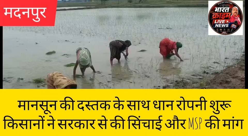 मानसून की दस्तक के साथ सोनडीह में धान रोपनी शुरू, किसानों ने सरकार से की सिंचाई और MSP की मांग
#BharatCrimeLiveNews #Aurangabad #Madanpur #Sondih #धान_रोपनी #Kisan #Monsoon #MSP #BiharNews #AgricultureNews