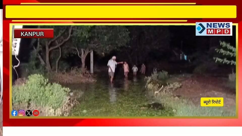 महाराजपुर विधानसभा के नौगवां ग्रामीणवासियों को अगर नहीं मिली जल भराव से निजात तो सभी ग्रामीणवासी देंगे धरना ।
#upnews #latestnews #public #problem #breaking #kanpur #जल_भराव #पंचायती #political #voter