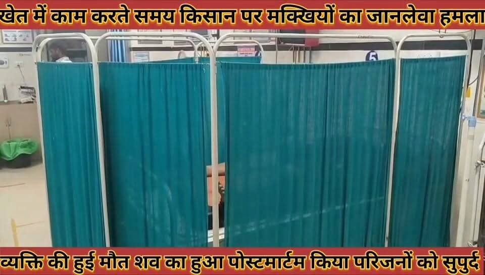 #खेत_में_काम_करते_समय_किसान_पर_मक्खियों_का_जानलेवा #हमला_शव_का_हुआ_पोस्टमार्टम_किया_परिजनों_को_सुपुर्द
#khet #me #kaam #karte #samay #kisan #par #makkhiyo #ka #jaanlewa #hamla #shav #ka #huaa #postmartam #kiya #parijano #ko #supurd #news #didwanajila