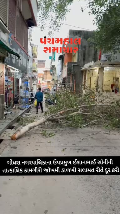 ગોધરા નગરપાલિકાની તાત્કાલિક કામગીરી જોખમી ડાળખી સલામત રીતે દૂર કરી
#panchmahalsamachar #panchmahalnews #godhra #topview