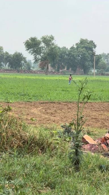 यूरिया का दुष्प्रयोग ना करें
#यूरिया #reel #agricultura #fertilizer