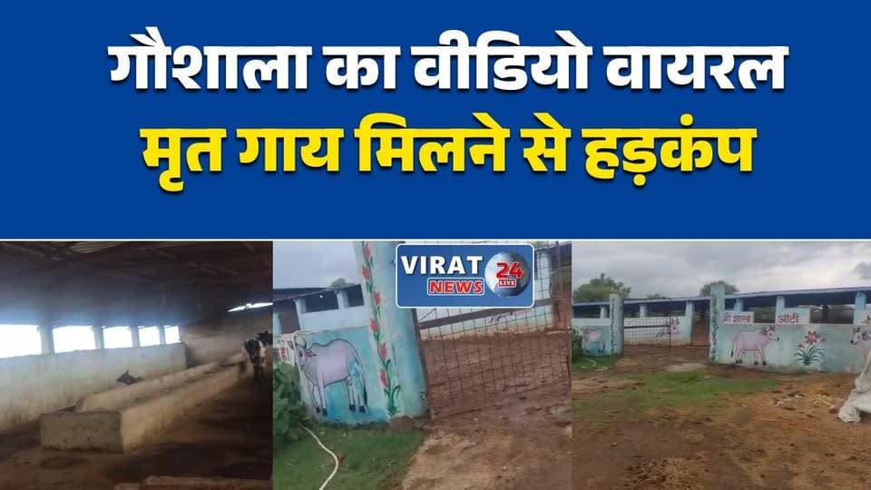 मऊगंज: लौर कला गौशाला का वीडियो वायरल, मृत गाय मिलने पर उठे सवाल
लौर कला गौशाला फिर विवादों में, वायरल वीडियो के बाद जांच की मांग तेज
मऊगंज की गौशाला पर अव्यवस्थाओं के आरोप, प्रशासन से निष्पक्ष जांच की मांग
वायरल वीडियो के बाद लौर कला गौशाला की व्यवस्थाओं पर सवाल
मृत गाय का वीडियो वायरल, गौशाला संचालन पर उठे गंभीर सवाल#Mauganj #MadhyaPradesh #Gaushala #CowShelter #ViralVideo #BreakingNews #MPNews #HindiNews #LatestNews #CowProtection #LocalNews #Investigation #MauganjNews #GauSeva #TrendingNews