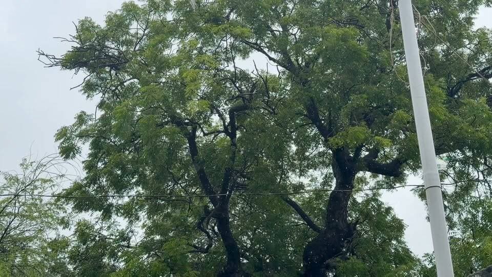 🌧️ आपके क्षेत्र का मौसम कैसा है?
कहाँ-कहाँ बारिश हो रही है और किन इलाकों में जलभराव की समस्या सामने आ रही है?
यदि आपके क्षेत्र में सड़कें जलमग्न हैं, लोगों को परेशानी हो रही है या बारिश से जुड़ी कोई महत्वपूर्ण स्थिति है, तो उसकी वीडियो और फोटो हमें हमारे व्हाट्सएप नंबर पर भेजें।
आपके द्वारा भेजी गई जानकारी को प्राथमिकता के साथ समाचार में स्थान दिया जाएगा, ताकि प्रशासन तक आपकी आवाज़ पहुँच सके।
📲 अपनी वीडियो और फोटो अभी हमारे व्हाट्सएप नंबर पर भेजें।
Haryana voice Palwal आपकी आवाज़, आपकी खबर।
#palwalnews #mansoon #palwal #public #BarishAlert #LocalNews #facebookreelsviral