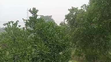 #छपरा में हो रही घनघोर बारिश..