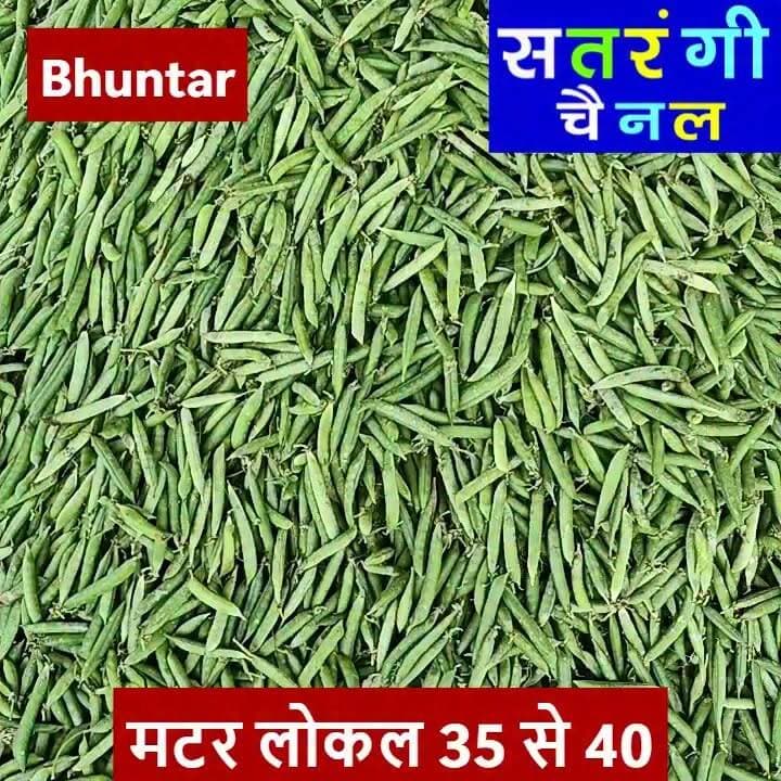 भुंतर सब्ज़ी मंडी में आज दिनांक 9 जुलाई को सब्ज़ियों और फ़लों के थोक भाव इस प्रकार रहे | देखें वीडियो....
#bhuntarsubzimandi #takolisubzimandii #satrangichannel #solansubzimandi #azadpursubzimandi
