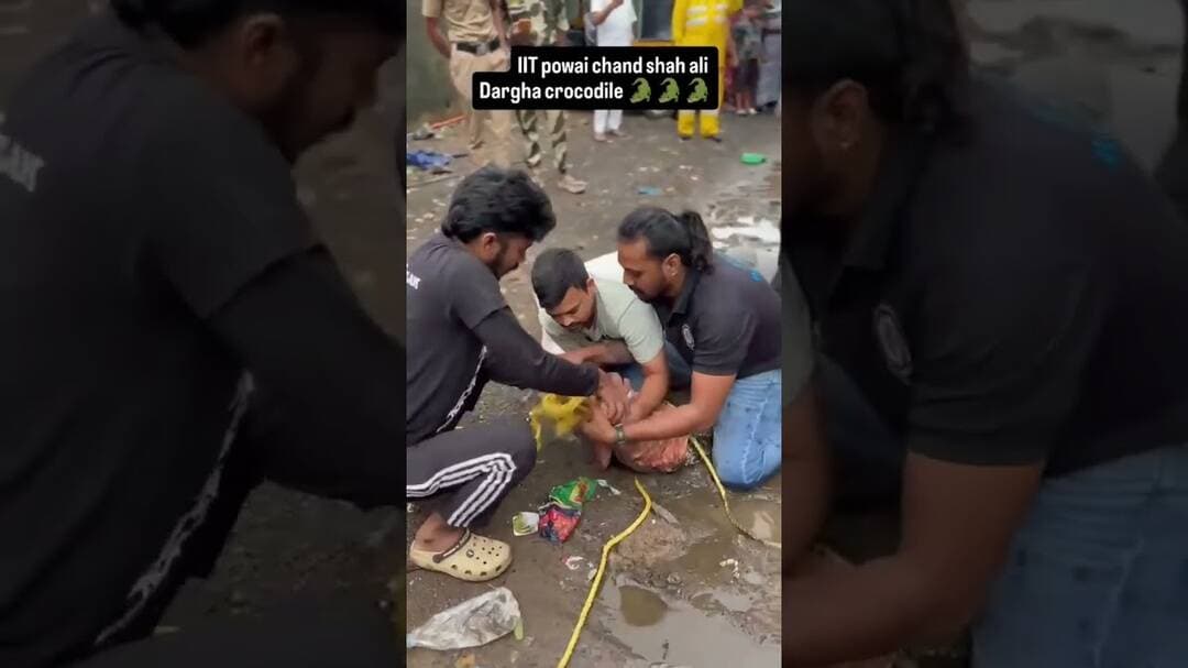 मगरमच्छ का रेस्क्यू# #public #news #satyka #duet #haveitoldyoulatelythatiloveyou #automobile #funny