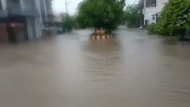 #मेरठ: मूसलाधार बारिश से कोरल स्प्रिंग्स कॉलोनी जलमग्न, लोगों का निकलना हुआ मुश्किल #viralvideo
मेरठ। मूसलाधार बारिश के बाद किला रोड स्थित कोरल स्प्रिंग्स कॉलोनी में भारी जलभराव हो गया, जिससे पूरी कॉलोनी पानी में डूब गई। घरों से बाहर निकलना भी लोगों के लिए मुश्किल हो गया। कॉलोनी के निवासियों ने बिल्डर अतुल गुप्ता से जलभराव की समस्या का स्थायी समाधान कराने की मांग की है। साथ ही क्षेत्रवासियों ने प्रशासन से तत्काल जल निकासी की व्यवस्था कर राहत पहुंचाने की अपील की है।