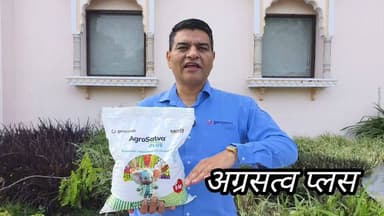 073400 61331 सबसे अच्छा पैदावार बढ़ाने वाला और भूमि सुधारने वाला उत्पाद। अग्रसत्व प्लस 5 किलो ग्राम प्रति एकड़। #अग्रसत्व #agrosatvaplus #paddy #tomato #cotton