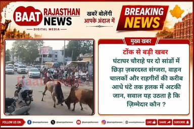 टोंक से बड़ी खबर
घंटाघर चौराहे पर दो सांडों में छिड़ा ज़बरदस्त संग्जरा, वाहन चालकों और राहगीरों की करीब आधे घंटे तक हलक में अटकी जान, सवाल यह उठता है कि ज़िम्मेदार कौन ?
#tonk #tonknews #viral #tinadabi