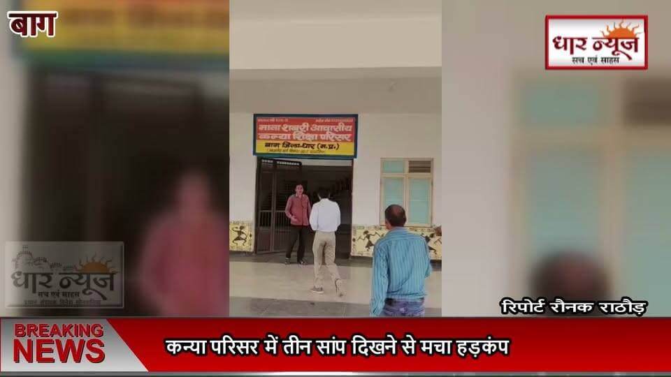 धार बाग-कन्या परिसर में तीन सांप दिखने से मचा हड़कंप, 7–8 फीट लंबे सांप का किया गया रेस्क्यू
#breakingnews #latestnews #snakerescue #schools #students