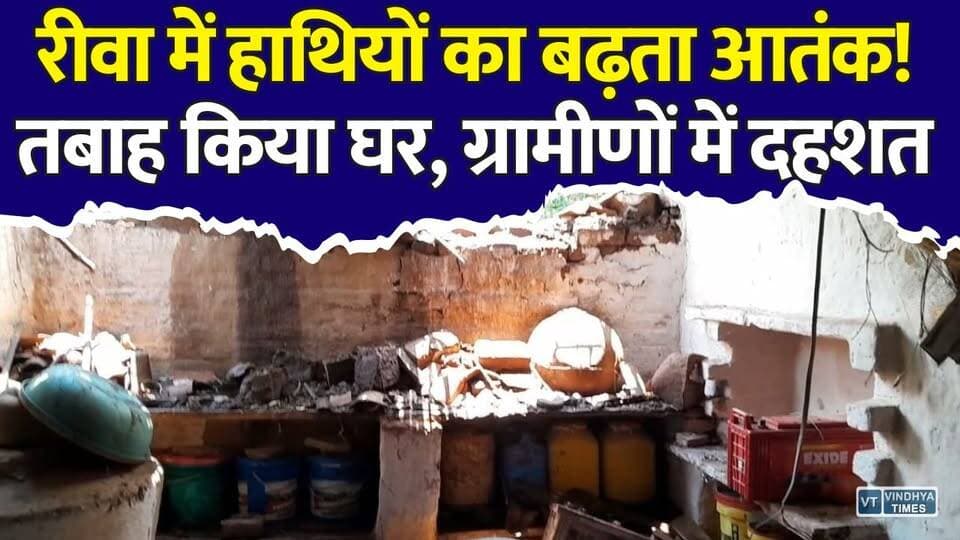 रीवा: हाथियों के आतंक से सहमे गांव, तबाह किया मकान, विधायक ने जताई नाराजगी
#Rewa #Gudh #ElephantAttack #ElephantMovement #WildElephants #MadhyaPradesh #MPNews #RewaNews #ForestDepartment #Wildlife #BreakingNews #VillageNews #HumanWildlifeConflict #ElephantTerror #ViralNews #LatestNews #HindiNews #IndiaNews #TrendingNews #WildlifeAlert