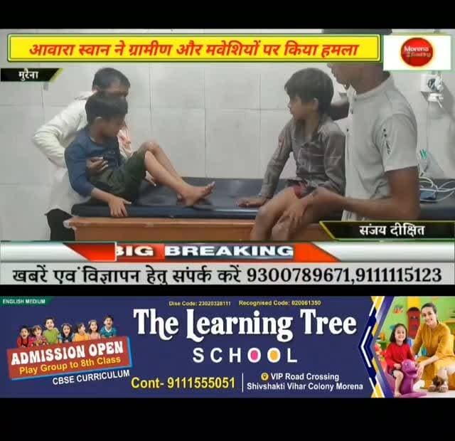 मुरैना/आवारा कुत्ते के हमले से आधा दर्जन से अधिक ग्रामीण और मवेशी हमले का हुए शिकार, दो मासूम बच्चों का जिला अस्पताल में किया गया उपचार #morena #morena breaking #dog bite #morena2024 #trendingpost2024