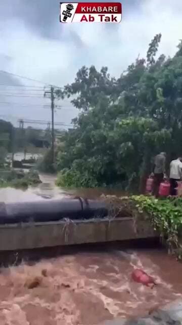 महाराष्ट्र के रायगढ़ में भारी बारिश के कारण एलपीजी सिलेंडर नदी में बहा#viralvideoシ #lpgcylinder