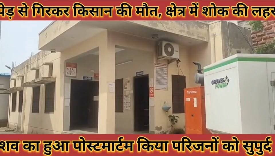 #पेड़_की_छटाई_करते_समय_किसान_गिरा_नीचे_हुई_मौत_शव #का_हुआ_पोस्टमार्टम_किया_परिजनों_को_सुपुर्द
#ped #ki #chhatai #karte #samay #kisan #gira #niche #hui #mout #shav #ka #huaa #postmartam #kiya #parijano #ko #supurd #news #didwanajila