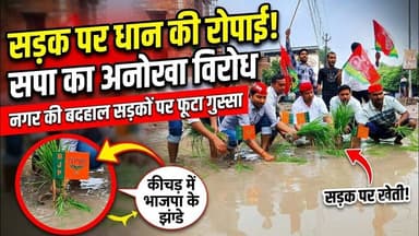 #हरदोई में कीचड़ में भाजपा के झंडे,सड़क पर धान की रोपाई.सपा नेता का अनोखा विरोध!