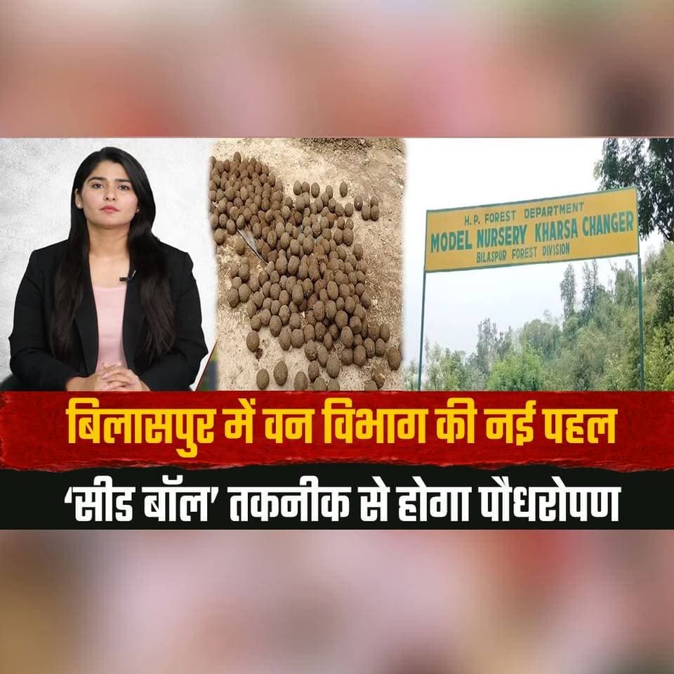 बिलासपुर में वन विभाग की नई पहल
‘सीड बॉल’ तकनीक से होगा पौधरोपण
#Bilaspur #HimachalPradesh #ForestDepartment #SeedBall #Afforestation #TreePlantation #GoGreen #Environment #EcoFriendly #GreenInitiative #ClimateAction #HimachalNews #BreakingNews #LatestNews #TrendingNow #thesummernewshimachal