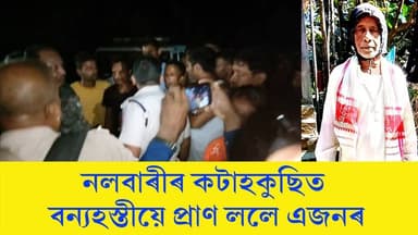 ♦নলবাৰীৰ কটাহকুছিত বন্যহস্তীৰ গচকত প্ৰাণ গ'ল এজন বৃদ্ধৰ
♦বন্যহস্তীৰ গচকত মৃ**ত্যু কটাহকুছিৰ ৬৮ বছৰ বয়সীয়া অন্ন কলিতাৰ
♦পাগলাদিয়া নৈৰ পাৰত মৃ**তদেহ সৎকাৰ কৰিবলৈ গৈ ঘৰলৈ ওভতাৰ সময়তে বন্যহস্তীয়ে আক্ৰমণ কৰে অন্ন কলিতাক
#nalbari
#ElephantAttack
#katahkuchi
#axombroadcast24