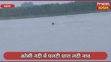 सहरसा:कोसी नदी में पलटी चारा लदी नाव, स्थानीय लोगों ने बचाई 8 लोगों की जा/न #floodnews #Biharflood2026 #flood #Koshiflood #flooddamage