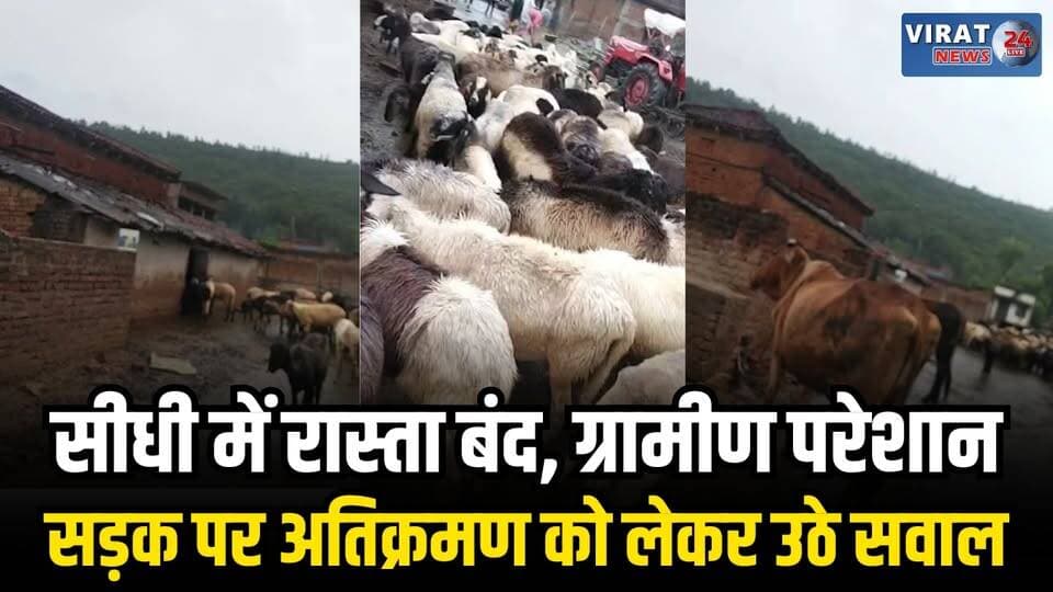 सीधी में सड़क बनी पशुओं का बाड़ा, खरहना खारा के ग्रामीणों ने प्रशासन से लगाई गुहार
#sidhi #mp53 #sidhinews #viralnews #mpnews #virałreels #sidhicity #sidhimp53 #vindhyapradesh
