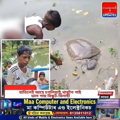 ♦️কাছও হ’ব পাৰে মানুহৰ বন্ধু! চৰাইদেউৰ নাহৰহাবি চাহবাগিছাত এশ কেজি ওজনৰ 'জিমি'ক চাবলৈ ৰাইজৰ হেতাওপৰা।
♦️মাতিলেই আহে ঢপলিয়াই, খাবলৈ ভাল পায় বিস্কুট-বিলাহী! চিনি পাইছেনে চৰাইদেউৰ মৰমৰ 'জিমি'ক?
♦️মানুহ নহয়, এজনী কাছ! এতিয়া চৰাইদেউৰ লাকুৱাৰ কণমানিসকলৰ প্ৰাণৰ বন্ধু এশ কেজি ওজনৰ 'জিমি'
@Charaideoupdates #Charaideo #Sonari