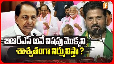 బిఆర్ఎస్ అనే విషపు మొక్కని శాస్వితంగా నిర్ములిస్తా ? | Revanth Fires On KCR | i News