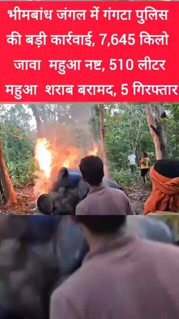 भीमबांध जंगल में गंगटा पुलिस की कार्रवाई, 7,645 किलो जावा महुआ नष्ट, 510 लीटर शराब बरामद, 5 गिरफ्तार