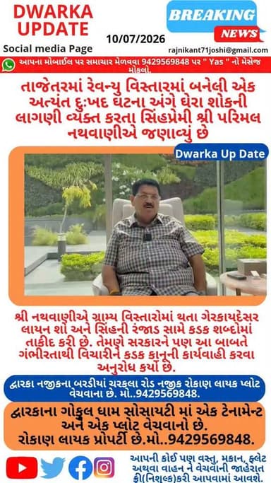 દુર્ભાગ્યપૂર્ણ ઘટના પર શ્રી પરિમલ નથવાણીની ગંભીર ચિંતા: સિંહપ્રેમીઓને સાવચેતી રાખવા તાકીદ અને ગેરકાયદેસર લાયન શો સામે કડક પગલાંની અપીલ..
તેમણે તમામ સિંહપ્રેમીઓ અને સ્થાનિક નાગરિકોને અત્યંત સાવચેતી રાખવા માટે હાર્દિક અપીલ કરી છે. ખાસ કરીને જ્યારે સિંહ મેટિંગ પિરિયડમાં હોય કે સિંહણ પોતાના બચ્ચાઓ સાથે ફીડિંગ કરતી હોય, ત્યારે નજીક જવાનું કે કોઈપણ પ્રકારનો ચાળો કરવાનું જોખમ ક્યારેય ન લેવું જોઈએ...
દ્વારકા અને આજુબાજુની અતિ મહત્વની ઘટનાઓ અને જાણવા જેવા સમાચારો નિહાળવા માટે માત્ર અમારું પેજ ફોલો કરી લાઇક શેર અને સબસ્ક્રાઇબ કરો....
આપના અમૂલ્ય મંતવ્યો અને વિચારો આવકાર્ય છે. આપની પાસે પણ કોઈ સમાચાર જેવી માહિતી હોય તો અમને મોકલી આપો.
Dwarka Up Date@9429569848...