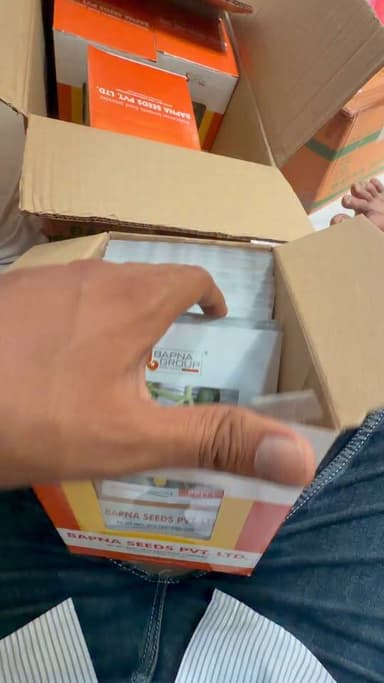 खीरे की प्रिया वेरायटी
#reel #खीरा #🥒 #खेती